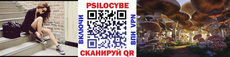 Купить закладки  Орлов  Псилоцибиновые грибы прущие грибы 